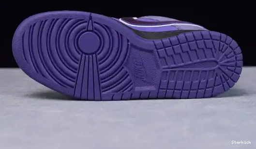 Concepts Purple SB Nike Low Lobster Dunk BV1310-555 0707